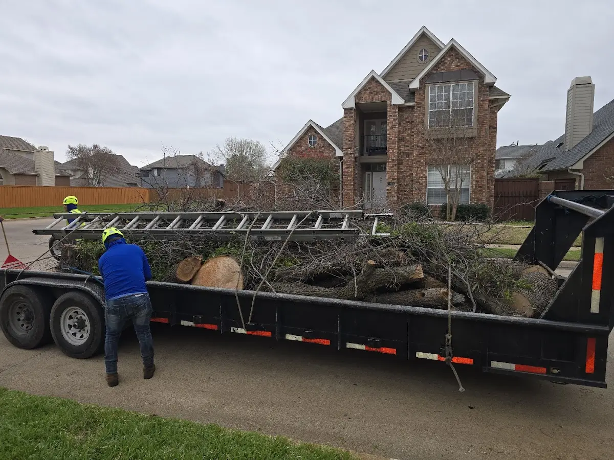 Expert Tree Fertilization with proper safety equipment in Nooksack
